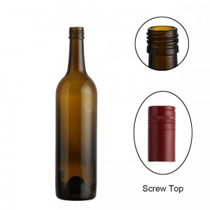 China China Wholesale Frosted Glass Wine Bottles 750ml screw cap Manufacturer and Company | QLT