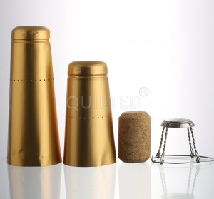 China 500 ml brown color wine glass champagne bottle Manufacturer and Company | QLT